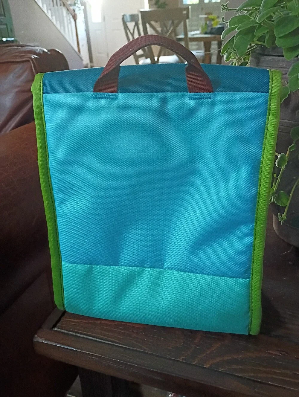 Cotopaxi Del Día Botana 6L Insulated Lunch Bag – One-of-a-kind-colors!